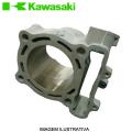 CILINDRO ORIGINAL KAWASAKI KXF250 06/08