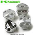 PISTAO ORIGINAL KAWASAKI KXF450 10/11